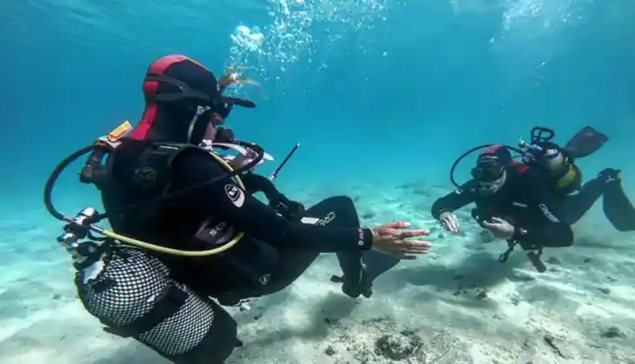 Leagues Ahead Diving - Playa del Inglés 